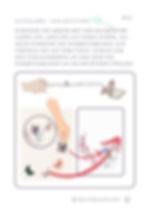 im rechten Bild Blumen, links Anwordnung von Schmetterlingen auf Kärtchen