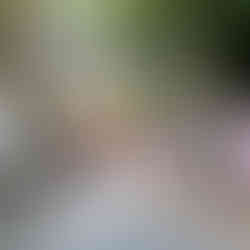 相差の石神さん(神明神社)