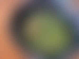 あおさの味噌汁