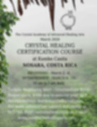 Nosara Crystal Flyer.jpeg