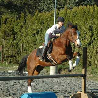 DSC_0036.JPG