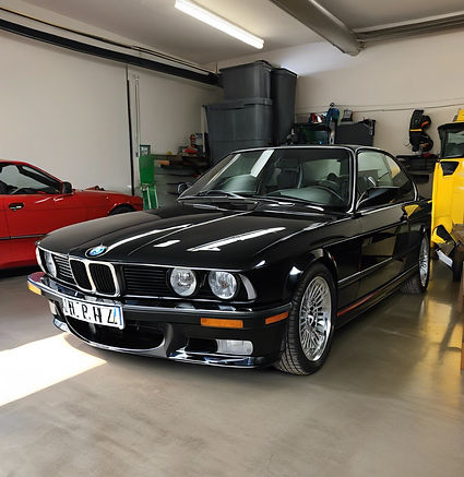 Freshly Detailed BMV