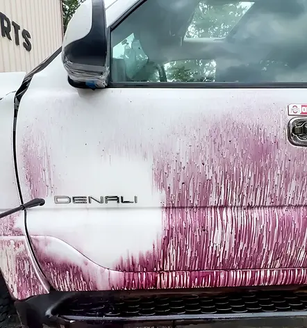 Paint Decontamination