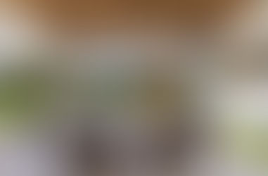 Art de Vivre à La Mauricienne : la vie sous les varangues, une véritable tradition depuis plus de 200 ans