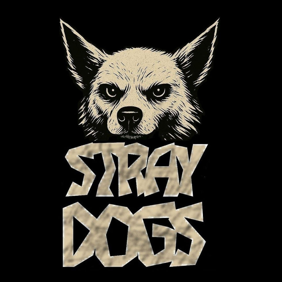 stray dogs rock