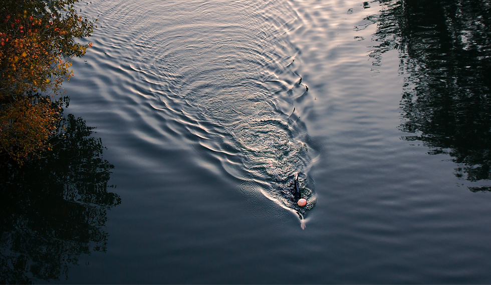 K swims_edited