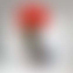 성능경 Sung Neungkyung