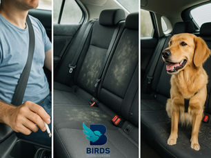 Imagem dividida em três partes mostrando os principais causadores de mau cheiro em carros: à esquerda, um homem fumando dentro do veículo; ao centro, bancos com manchas de mofo; à direita, um cachorro sentado no banco traseiro com pelos espalhados — ilustrando os odores de cigarro, mofo e cachorro no interior automotivo.