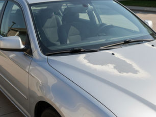 SOLUÇÕES EFICAZES PARA PROTEGER A PINTURA