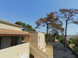 RESIDENCE DOLCE VITA - BORGO