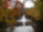 DSCN9663.JPG