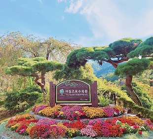 아침고요수목원.png