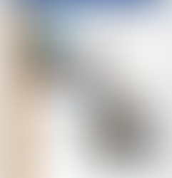 Exposition au Carré des Jalles à Saint Médard en Jalles 