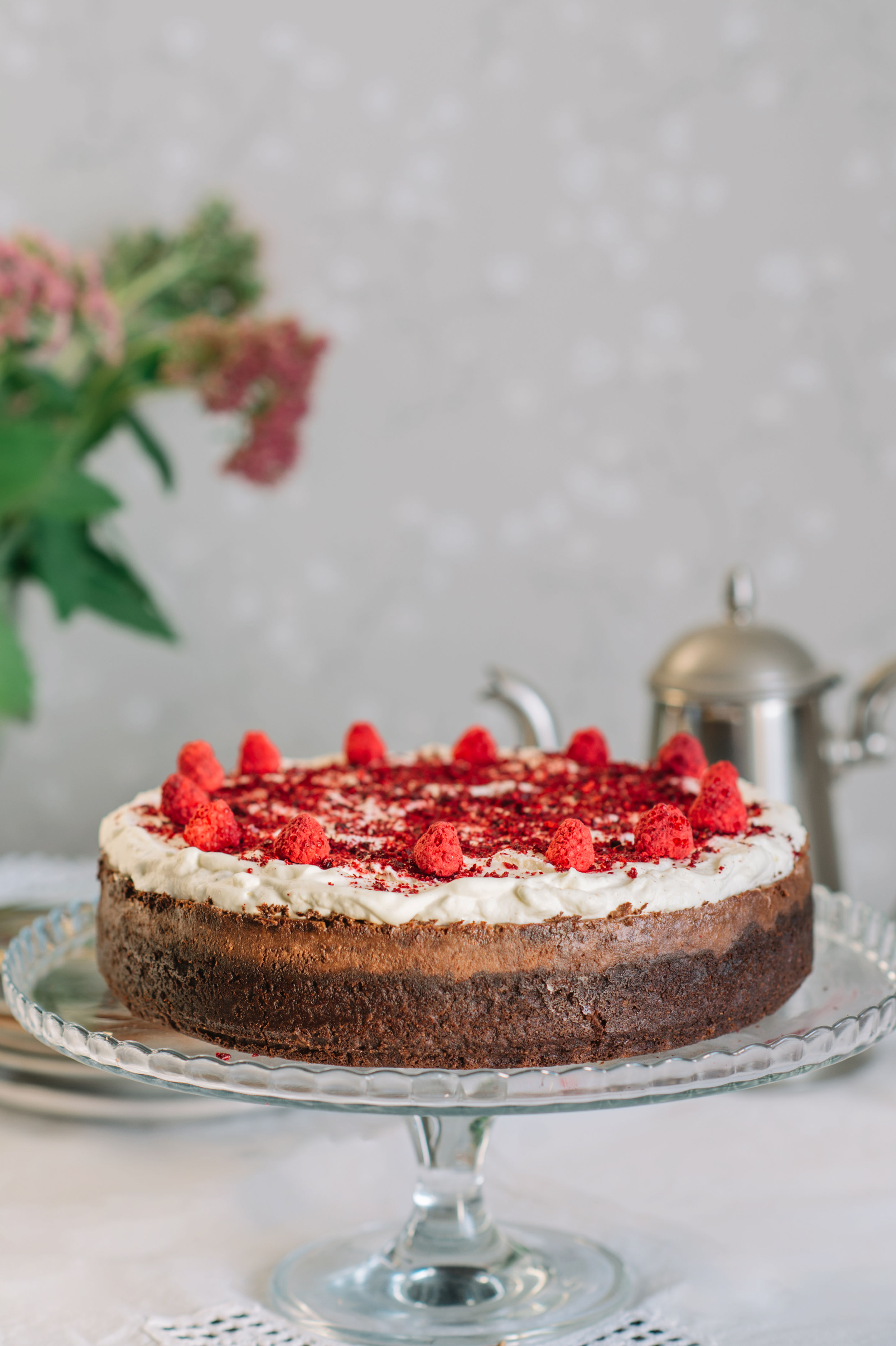 Šokolaadi-toorjuustukook (56€/1.9kg)