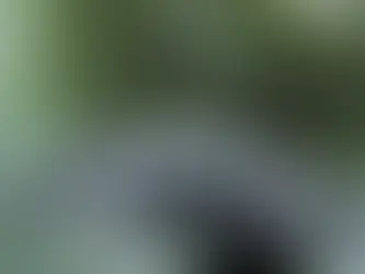 Şubat ayında Türkiye genelinde yağışlar geçen yıla göre yüzde 16 arttı