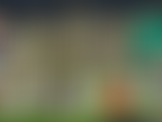 Kanarya, çeyrek final biletini kaptı