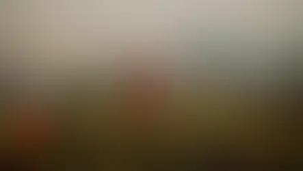 Fransa ve İspanya'da orman yangınları devam ediyor: 330 bin kişiye tahliye