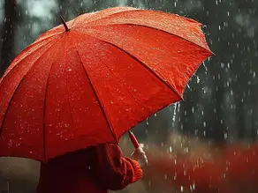 Meteoroloji’den Doğu Karadeniz’e uyarı: Kuvvetli yağış kapıda