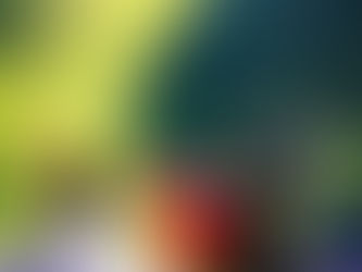 Her gün yüzlerce kişi Atatürk’ü görmek için Damal’a akın ediyor