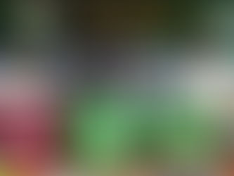 Alanyaspor'dan transfer patlaması! 5 yeni imza birden!