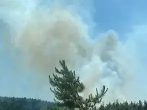 İzmir’de orman yangını 20. saatine girdi: Müdahale sürüyor