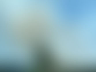 Bursa-Balıkesir sınırında orman yangını: İki mahalle tahliye edildi, iki kişi gözaltında