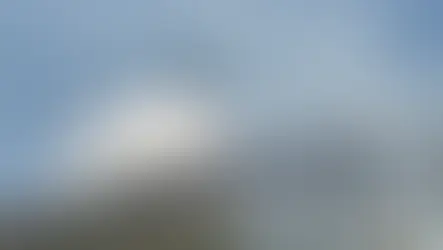 Karabük’te orman yangını rüzgârla yeniden şiddetlendi