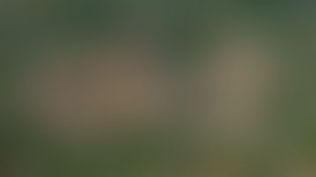 8 bin yıllık sır Kültepe'de gün yüzüne çıkıyor