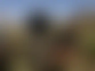 Terör, bir daha açılmamak üzere kapanıyor