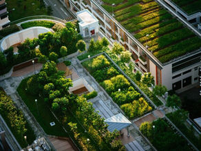 Yeşil çatıların ‘raf ömrü’nü mantarlarla uzatabilir miyiz?