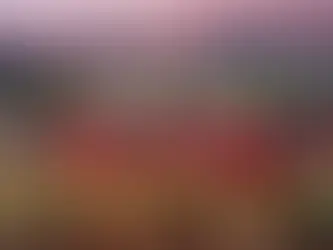 Kapıkule'de uyuşturucu operasyonu: 212 kilo esrar ele geçirildi