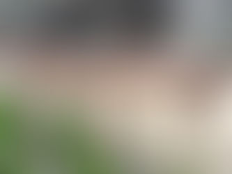 TRABZON'DA 2023 YILINDA 1 MİLYON 319 BİN 299 TURİST KONAKLADI