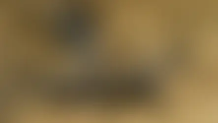 Kaplumbağalar için gece plaja giriş yasağı: 557 bin TL ceza