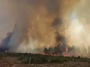 Kaş'ta çıkan orman yangınına yoğun müdahale