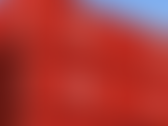 Ticaret Satış Hacmi Yıllık Yüzde 0,4 Azaldı