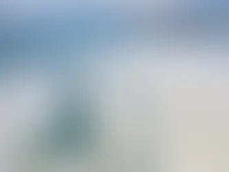 Müsilaj Marmara Denizi'ne geri mi döndü, diğer denizlerde durum ne?