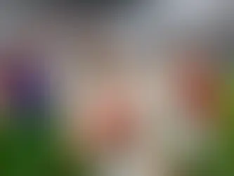 Türkiye - Avusturya maçı Hollanda medyasında nasıl yankı buldu?