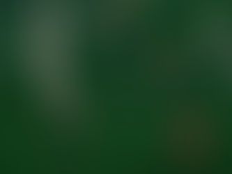 Kadıköy’de kazanan çıkmadı Fenerbahçe 1-1 Ferencváros