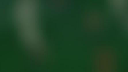 Kadıköy’de kazanan çıkmadı Fenerbahçe 1-1 Ferencváros