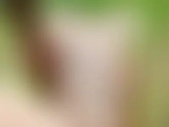 Fransa’dan şizofreni tedavisinde umut ışığı: Lamalar yardımcı olabilir