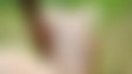 Fransa’dan şizofreni tedavisinde umut ışığı: Lamalar yardımcı olabilir