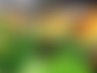 Ana hedefimiz tek haneli enflasyon