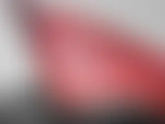 CHP etkinliğindeki "figüran" iddiasında soruşturma düğmesine basıldı