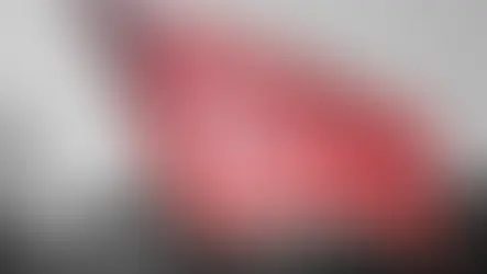 CHP etkinliğindeki "figüran" iddiasında soruşturma düğmesine basıldı