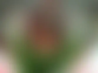 Kupa’da çeyrek final eşleşmeleri belli oldu