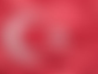 Yalova’da DEAŞ operasyonu: 3 polis şehit oldu