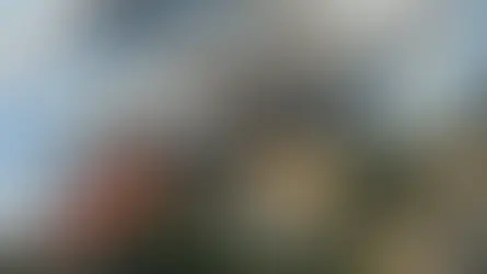 Çanakkale’de orman yangını: Üniversite yerleşkesi tahliye ediliyor