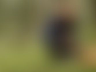 Google’ın yapay zeka ile oluşturulmuş mantar görselleri ölümcül olabilir