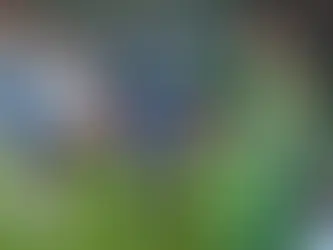 Beşiktaş Rize'de umduğunu bulamadı