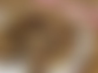 Haşhaş Helvası Resmen Burdur'un Oldu